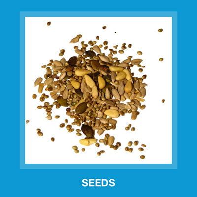  Seeds 